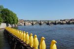 PICTURES/Prague - Kampa Island/t_Penguins9.JPG